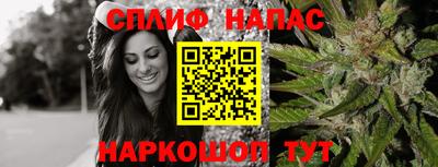 хмурый Камышлов